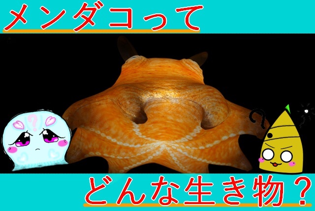 Thumbnail of post image 108